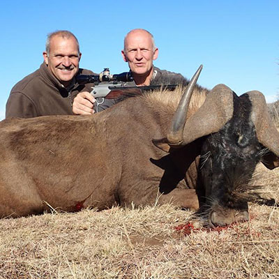 BLACK WILDEBEEST